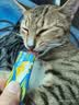 力狼 猫条猫零食 成幼猫通用宠物猫咪零食猫湿粮 【超值囤货】鲜肉猫条15g*100支 实拍图