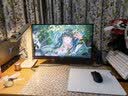 HKC 显示器支架显示屏幕机械臂电脑桌旋转升降居家办公灰黑色承重9KG增高架免打孔75mm100mm KR22 实拍图