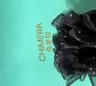 奇美拉（CHIMERA）【蓬松感显发量】蝴蝶结丸子头发抓后脑勺马尾夹抓夹女生日礼物 晒单实拍图