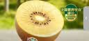 佳沛（zespri）新西兰金奇异果22粒巨大原箱146-175g猕猴桃水果礼盒 实拍图
