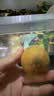 佳沛（zespri）新西兰阳光金奇异果6粒装88-103g猕猴桃水果水果礼盒 实拍图