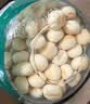 英氏婴幼儿小小馒头牛奶味 婴儿宝宝零食儿童辅食饼干营养奶豆90g 实拍图