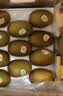 佳沛（zespri）新西兰金奇异果10个装单果重103-114g猕猴桃水果礼盒 实拍图
