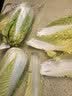 【火锅季】金丝甜心娃娃菜500g（3颗装） 实拍图
