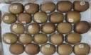 佳沛（zespri）金奇异果25-27粒原箱特大果124-146g猕猴桃水果礼盒 实拍图