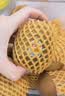 佳沛（zespri）新西兰 金奇异果特大果15粒134-146g猕猴桃水果礼盒 实拍图