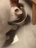 麦富迪猫罐头 barf霸弗主食猫罐头猫咪零食湿粮成幼猫呵护泌尿45g*12罐 实拍图