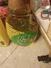 刀唛（Knife）食用油【保真菜籽油】低芥酸菜籽油6.18L 物理压榨一级油礼品送礼 实拍图