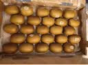 佳沛（zespri）金奇异果25-27粒原箱特大果124-146g猕猴桃水果礼盒 实拍图