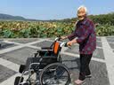 鱼跃手动轮椅车大轮轻便可折叠老人专用出行代步仅13kg铝合金H062 实拍图