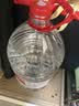 娃哈哈纯净水15L*1桶 大桶水一次性桶装水不循环使用哇哈哈饮用水 实拍图