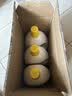 滴露（Dettol）衣物消毒液除菌柠檬3L*3 99.9%杀菌除螨内衣裤衣服消毒水 实拍图