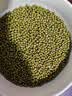 东北精选新薄皮新鲜豆绿豆2-5斤易煮易出沙发芽农家新绿豆汤解暑 精选绿豆 50g*1袋 体验装 实拍图