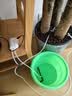 九千谷智能自动浇花机懒人浇花定时神器盆栽园林绿植喷洒滴灌滴水器9897 实拍图