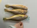 三都港 三去黄花鱼500g/3条装 新鲜小黄鱼 深海鱼 生鲜 鱼类 烧烤食材 实拍图