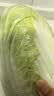 【霜打菜】翡翠褶大白菜1.2kg 实拍图
