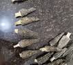 相遇红颜木耳干货400g东北长白山黑木耳肉厚无根特级菌菇山珍凉拌南北干货 实拍图