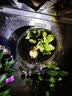沃尔森X50S手电筒强光变焦登山骑行可充电远射激光超亮户外应急灯赶海 实拍图