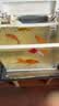 BESSN贝森鱼食兰寿金鱼专用饲料【高蛋白】上浮金鱼700ML小颗粒1.5MM 实拍图