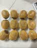 佳沛（zespri）新西兰金奇异果12粒特大果124-146g猕猴桃水果礼盒 实拍图