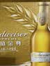 百威金尊啤酒500ml*12瓶整箱装Supreme 京东自营 实拍图