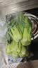 上海青约500g(油菜) 实拍图