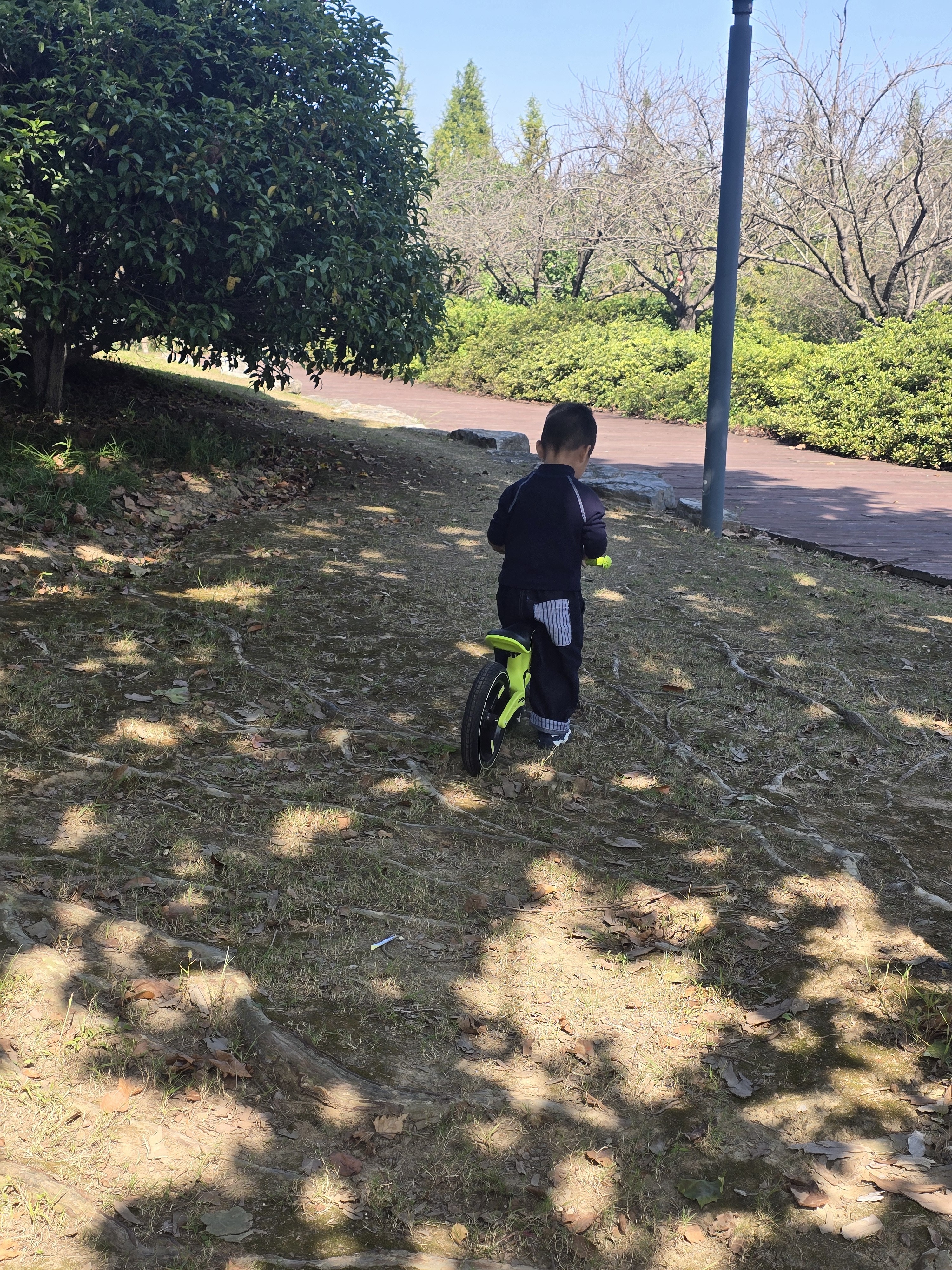 贝思奈儿童平衡车2-6岁幼儿宝宝滑步车小孩自行车入门溜溜车12寸绿色 实拍图
