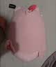 名创优品（MINISO）小猪B-BO玩偶抱枕娃娃公仔抱睡生日礼物女学生午睡枕趴趴bobo猪 实拍图