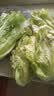 生吃意大利奶油生菜新鲜生菜即食沙拉蔬菜火锅烤肉整箱烧烤涮菜 地头现摘 鲜嫩脆甜 河南意大利生菜整箱5斤（净重4.6斤） 实拍图