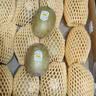 佳沛（zespri）金奇异果25-27粒原箱特大果124-146g猕猴桃水果礼盒 实拍图