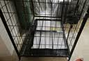 腆宠狗笼狗窝猫笼狗笼子中小型犬带厕所猫笼子大号家用室内狗围栏兔笼 实拍图