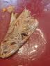 化氏正品鱼饵化绍新一款不空军的饵料春季腥香野钓鲫鱼饵鱼食饵料 不空军腥香300g/1包 实拍图