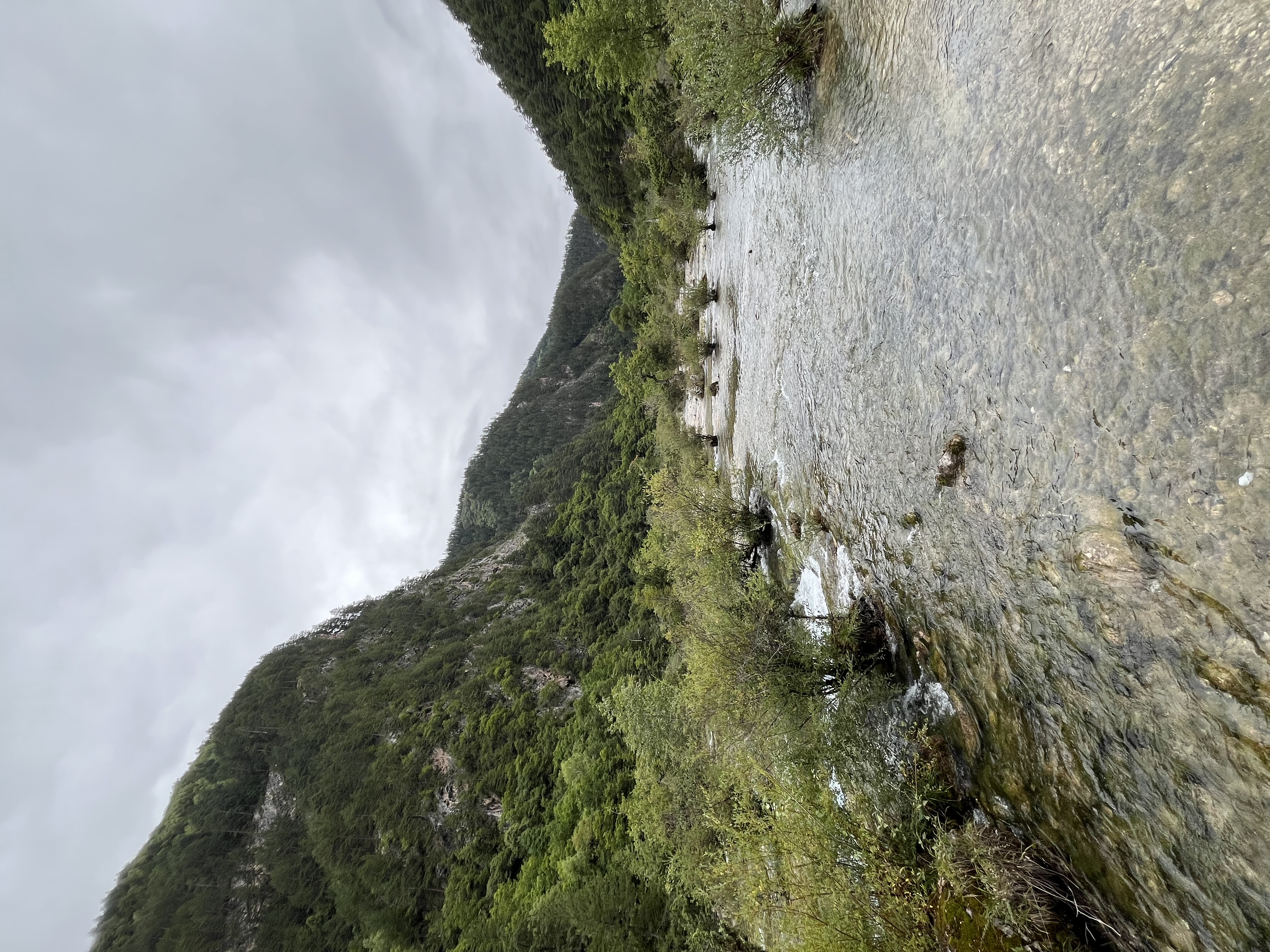 悍途（HUMTTO）户外登山鞋女轻便舒适休闲徒步鞋专业防滑爬山鞋女 风沙黄 38 实拍图