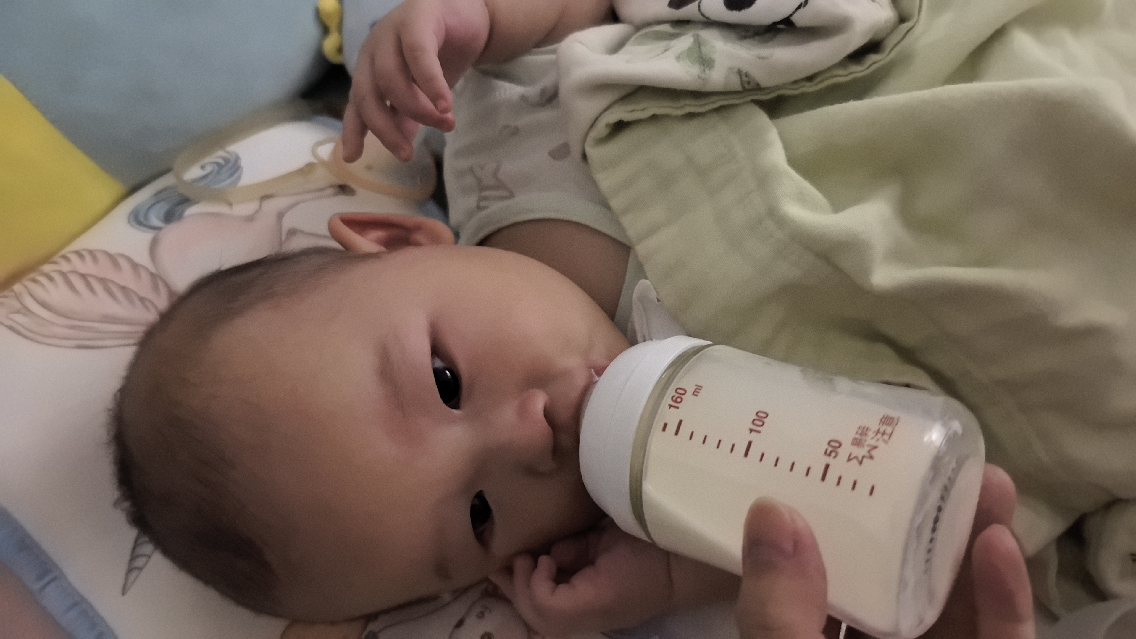 惠氏（Wyeth）铂臻较大婴儿配方奶粉2段（6-12月）780g*6罐 进口DHA 脑磷脂群 实拍图