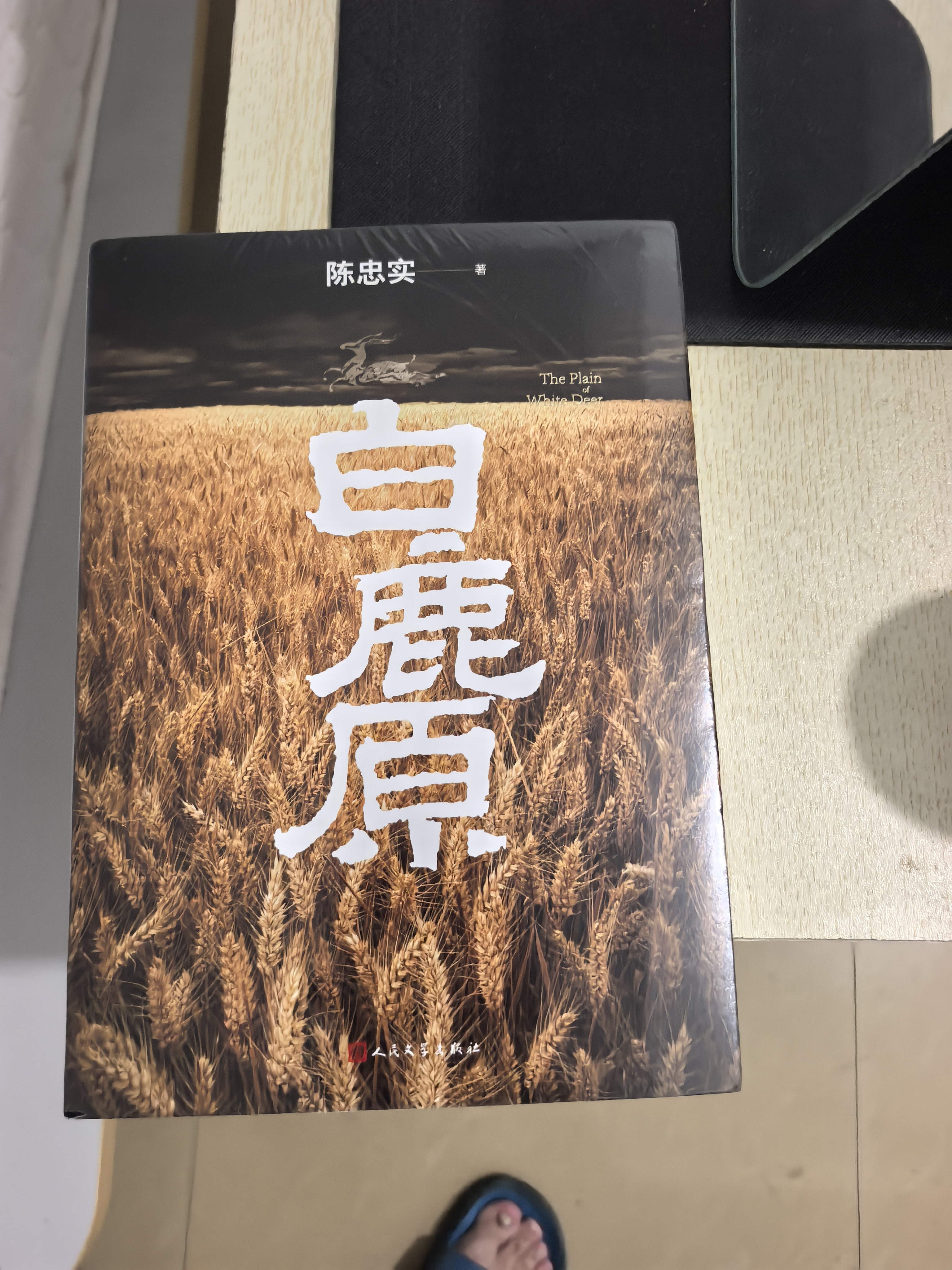 【京东自营】白鹿原 初版复刻 陈忠实逝世十周年纪念版 93版 平装 内外双封（初版典藏本） 陈忠实 茅盾文学奖 当代 小说 人民文学出版社 实拍图