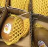 佳沛（zespri）新西兰金奇异果16粒经典果88-103g猕猴桃水果礼盒 实拍图