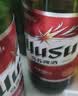 乌苏啤酒（wusu）大红乌苏620mL*12瓶 整箱装 烈性啤酒 聚会宴请京东自营 中秋送礼 实拍图