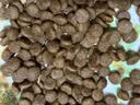 路斯鲜肉猫粮破局者肉松夹心双拼无谷全期冻干猫粮4kg全价成猫幼猫 实拍图