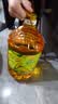 金龙鱼 食用油 非转基因 物理压榨玉米油6.18L（蕴含植物甾醇） 实拍图