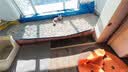 喵洁客（CAT FEVER）美国原装进口猫砂强力结团钠基矿石猫砂低尘抗菌除臭蓝标14磅 实拍图