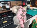 憨憨宠猫笼折叠猫笼子大号猫别墅加粗加密双层猫舍猫窝宠物猫咪用品家用 黑色 700双层 实拍图