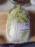 大白菜约2kg 实拍图