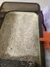 洁客（Drymax）膨润土豆腐砂混合猫砂懒人猫砂2.5kg*4袋共10kg整箱装 实拍图