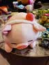 名创优品（MINISO）小猪B-BO草莓猪玩偶毛绒公仔娃娃抱枕靠枕女孩生日礼物玩具送闺蜜 实拍图