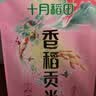 十月稻田 香稻贡米 东北大米 10斤（香米 粳米 5kg/公斤） 实拍图