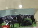 恒都五香卤牛肉 200g 正宗重庆风味 卤香浓郁 肉质紧实入味 休闲零食 实拍图