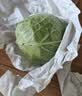 京鲜生云南新鲜绿甘蓝净重3斤 卷心菜 包菜 甘蓝新鲜蔬菜 源头直发 实拍图
