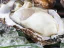 鲜京采鲜活生蚝3XL 净重5斤 13-18只 乳山牡蛎 烧烤清蒸 新鲜海鲜 贝类 实拍图