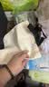 kitty帆布包大容量春夏新款卡通帆布包可爱通勤包小众百搭手提包 KT【粉色-无挂件】 实拍图