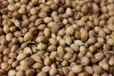 蔚鲜来香菜籽150g【配料干净】芫荽子火锅煲汤炖卤煮牛羊肉香辛料 实拍图